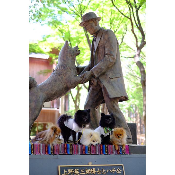 29d2a423 42f2 4489 8336 6cfa9bfcf5e0