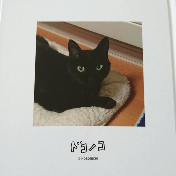 29d31d28 a401 4b93 8ff8 b40f22f1e881