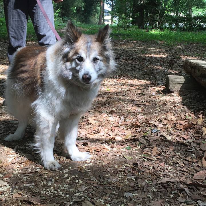 29d3b176 84fa 41b4 8f37 065c1ccaa447