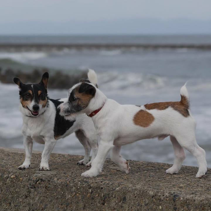 29d3ece5 7392 4658 9df3 45526054e574