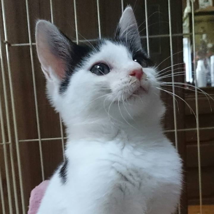 29d4946e 44de 4b11 b358 cab959ded90a