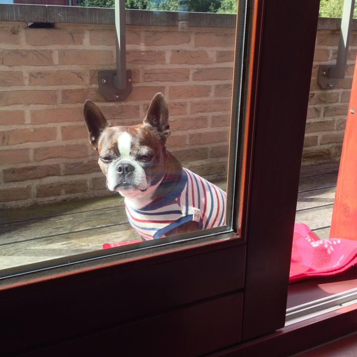 29d49a05 531b 4823 91c7 ee4e903b4ca1