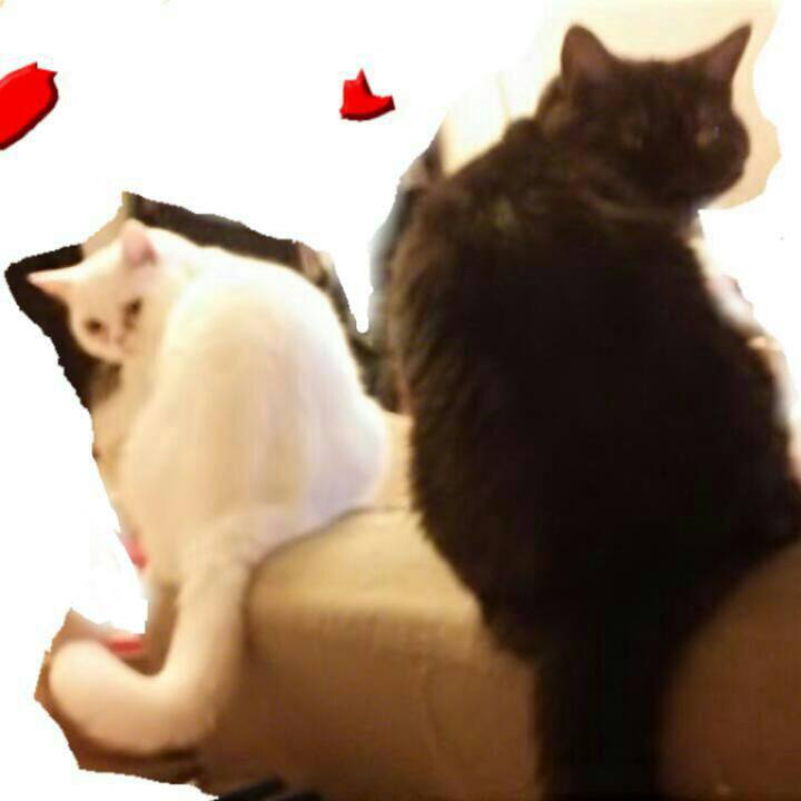 29d4d5b4 bd64 4e6d b9d9 43601f95cbe9