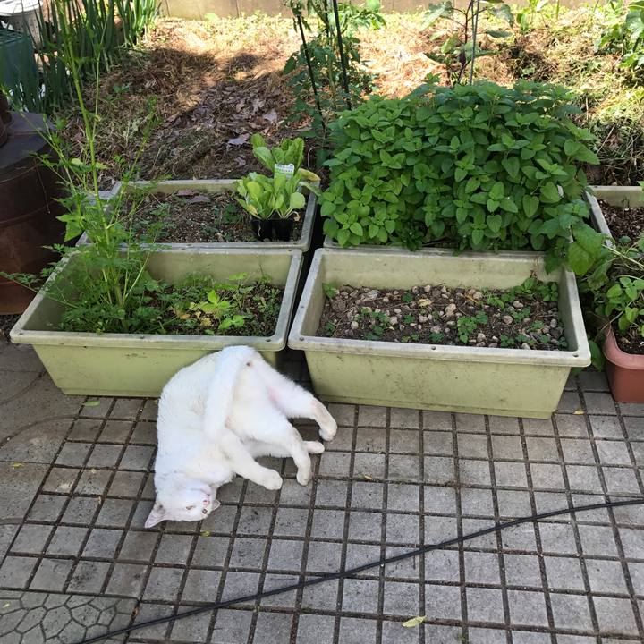 29d67204 8459 4e77 ab26 0e17981c6339