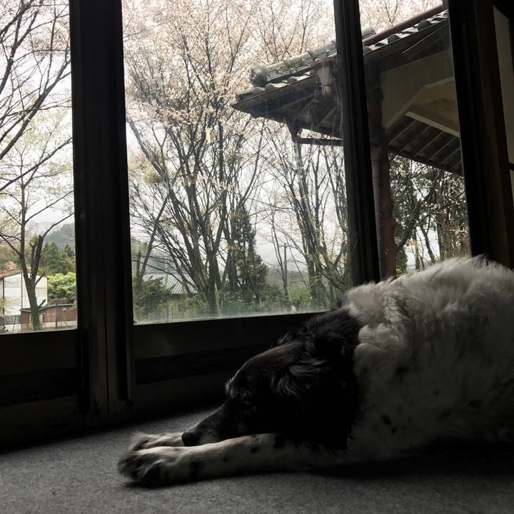 29d6b6d6 f0bf 4a84 b8fb 6be16c94f3b6