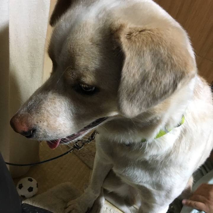 29d6ce05 b6b1 4511 bf4c d319de900f70