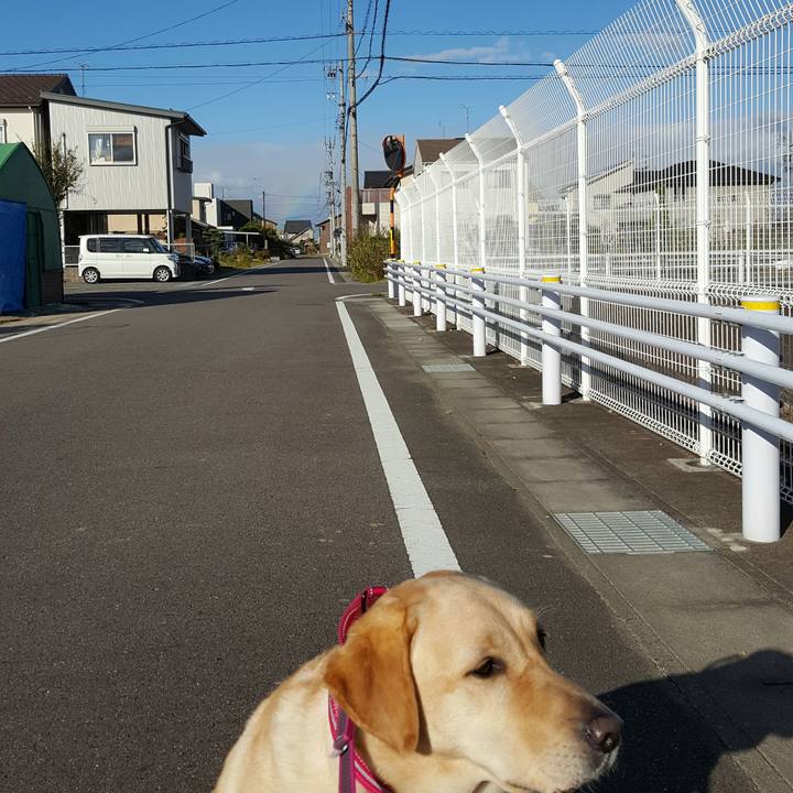 29d6e2a8 37fe 43a0 b1f5 684f40f5ddb3