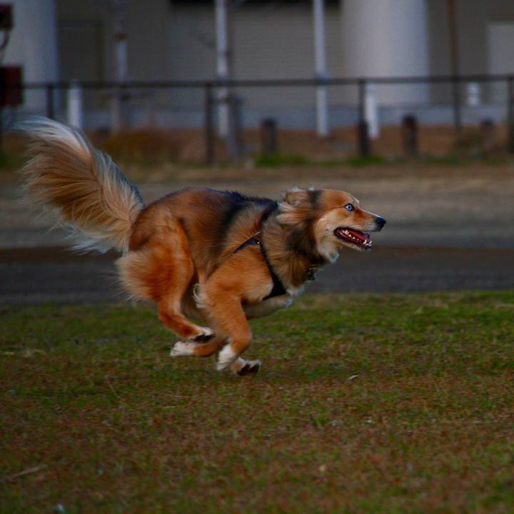 29d6f256 0b75 41e8 85a7 931da49916f9