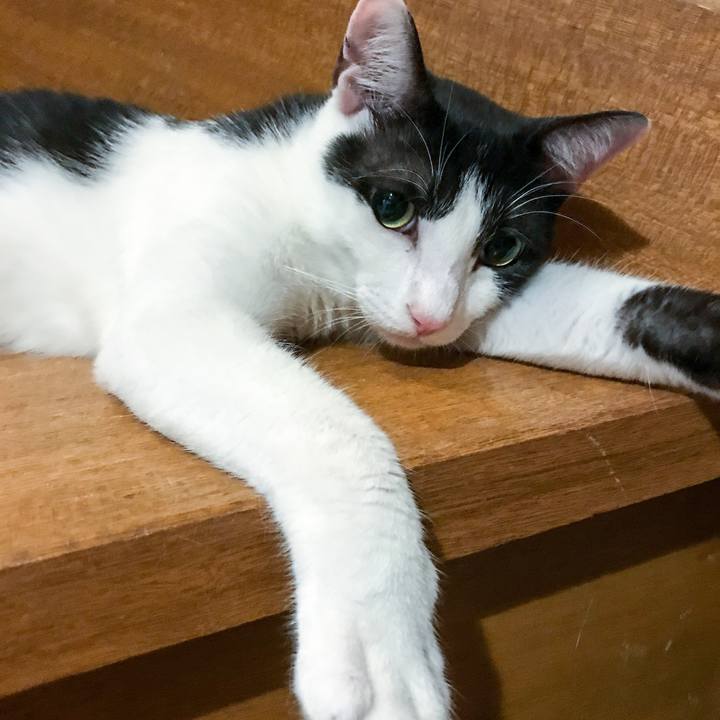 29d72298 2466 4297 887e ea8140dca9ce