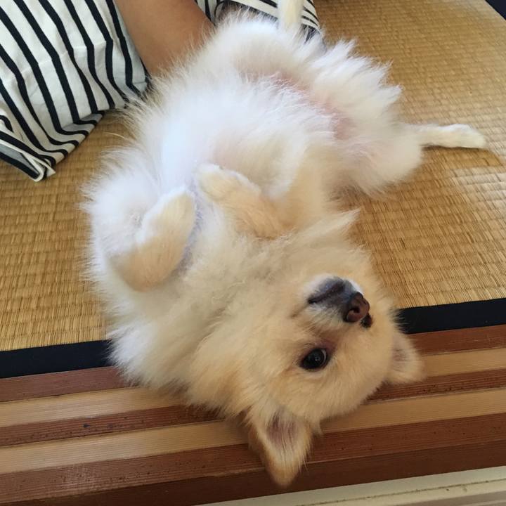 29d79999 c956 433f 96da cf3e0b72ab67