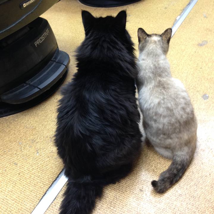 29d82dae 2e84 4906 9c97 48ec1f11695f