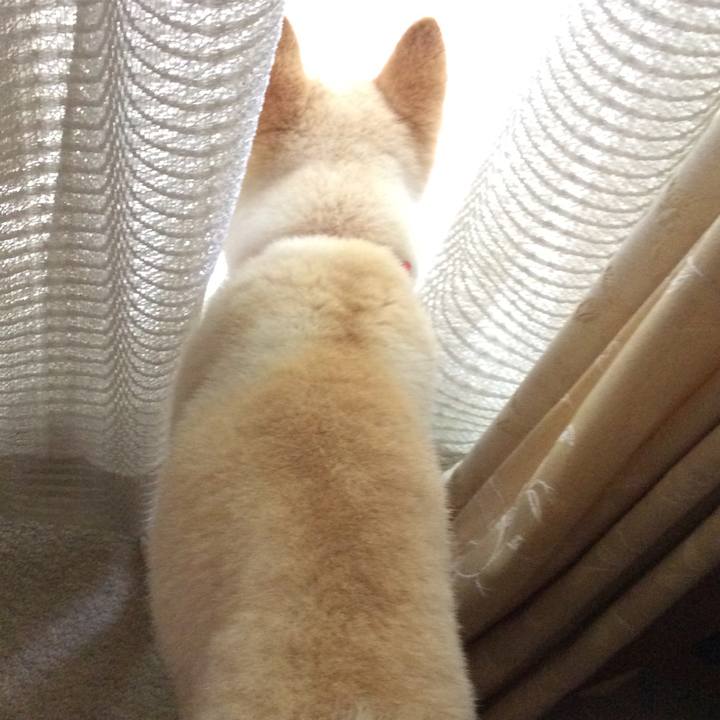 29d82df5 ab85 4579 bfc3 d76ef579a7e8