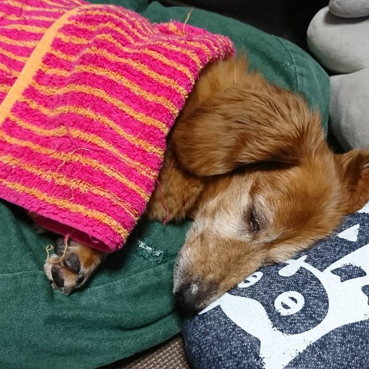 29d90b07 41c0 47f9 8e6b 27044103dde7