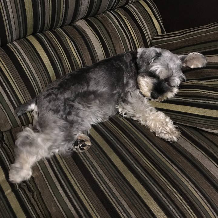 29d98096 54f6 4a14 99ca f622beed8529