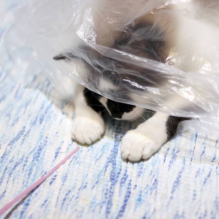 29da41c2 9da3 4b92 8e64 9878c8b69b7a