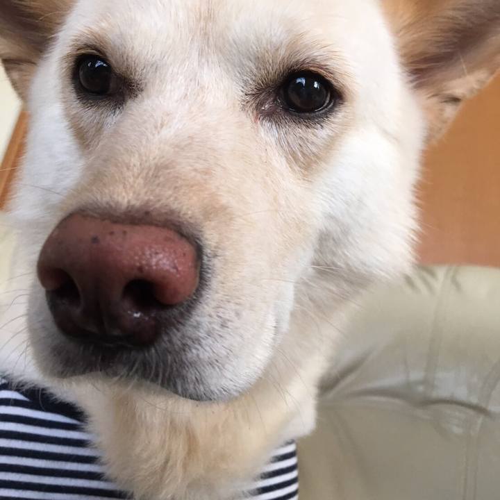 29dab83f 954c 4ca8 8461 bb2aa7846ab8