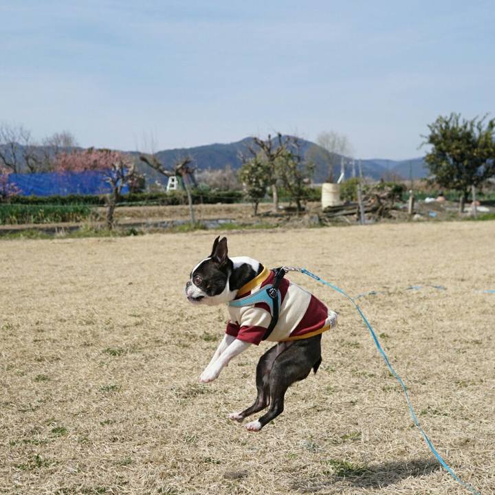 29db0930 8ac5 43b3 9617 f3dcea5665d2