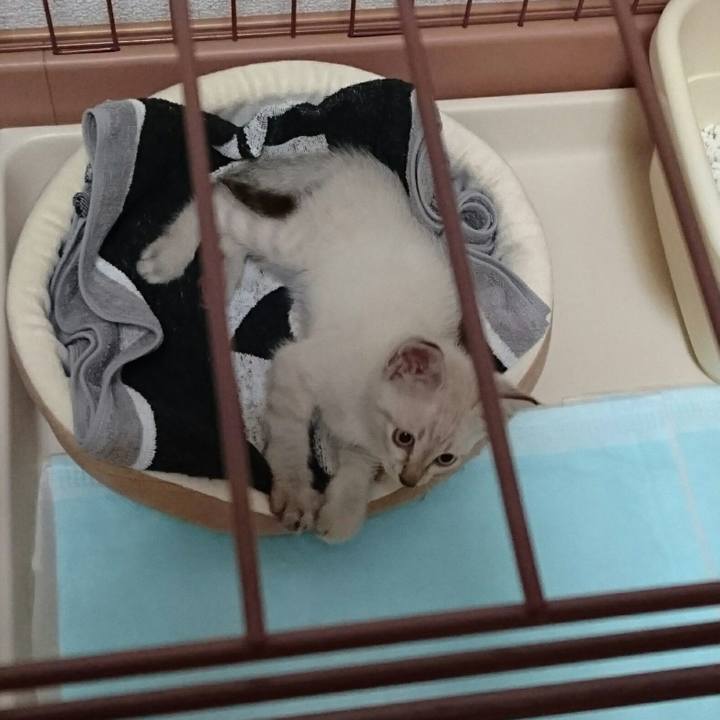 29dbdc5e 9a02 4721 b4ad 527ea766e003