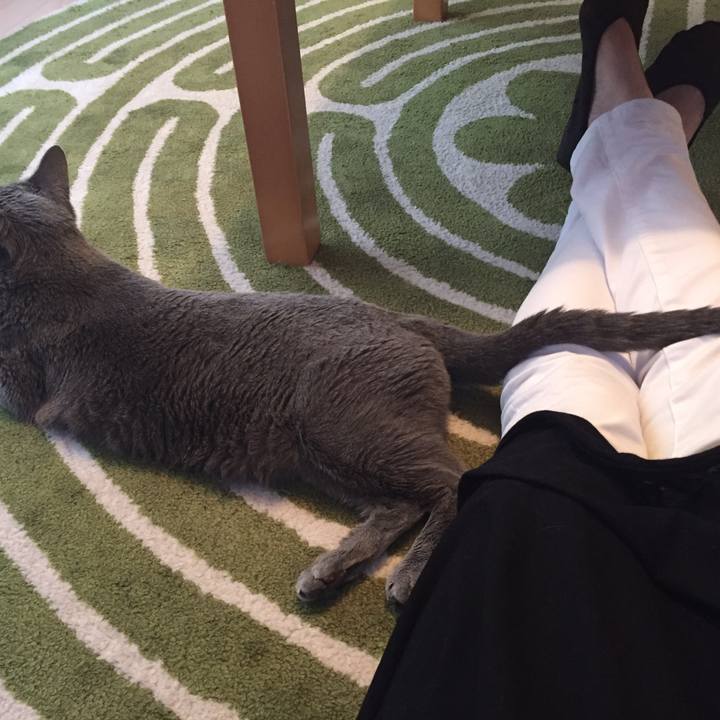 29dcb915 ab2c 41a1 83f8 49712d5f2433