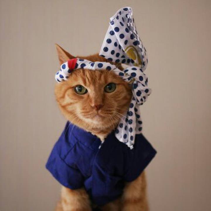 29dd050e ce50 4862 95b9 e5d7313e4f6d