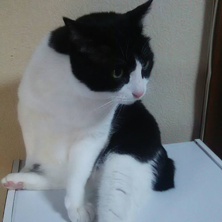 29dda68f e5f6 4868 8ede 23ed525d66f4