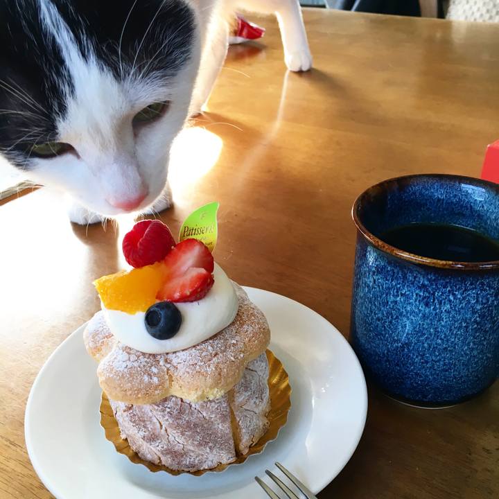 29ddaa6b 6726 419e 9a6a de8c04711dae