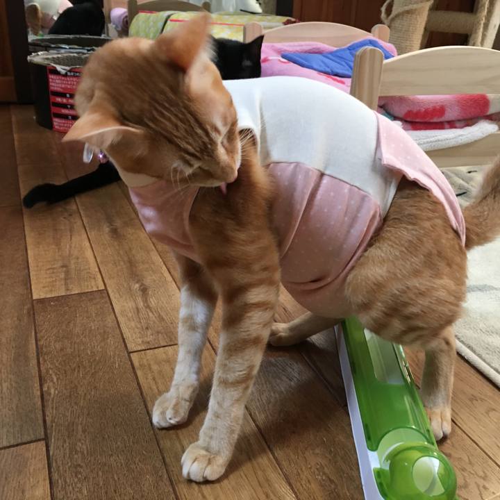 29ddf742 01e7 4f0c 8517 59fc697da888