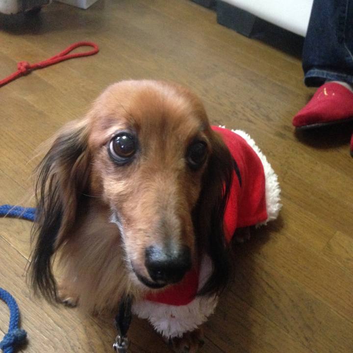 29de22de 07ce 4074 87d1 c1676b2a5633