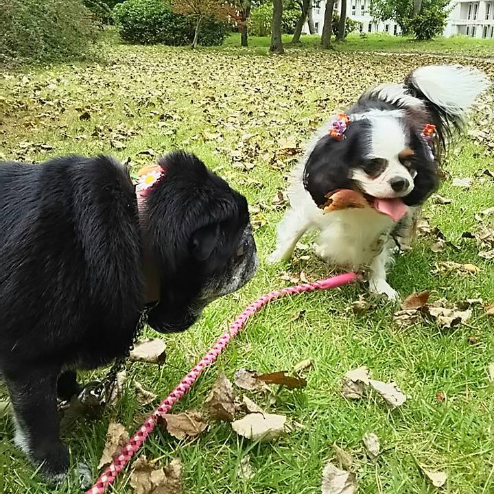 29de79f8 4ef5 4d2d 80f5 87786a8c09a0