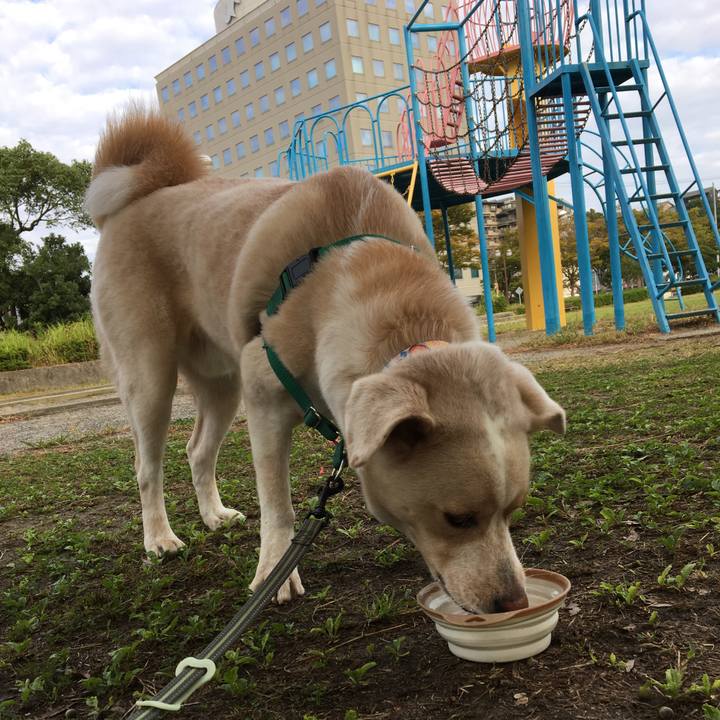 29de9303 5f4e 444a b3a6 f954a1a1a117