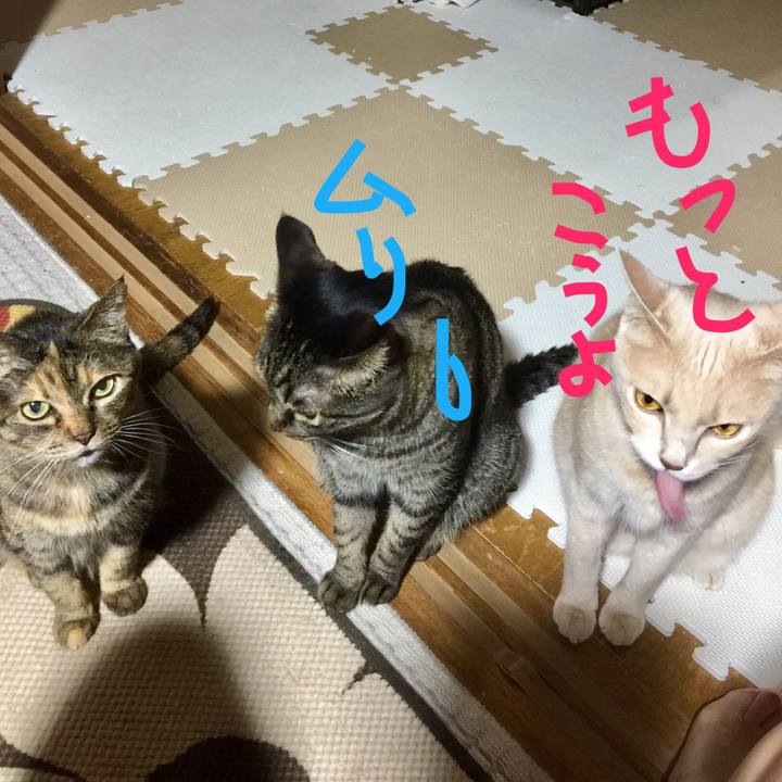 29deeabf b7e7 4648 a65f f8b95aaa79d0