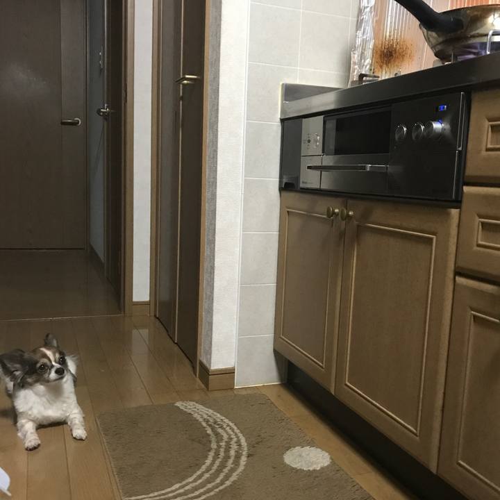 29df4b84 f228 4e21 921d b0667d4885f6