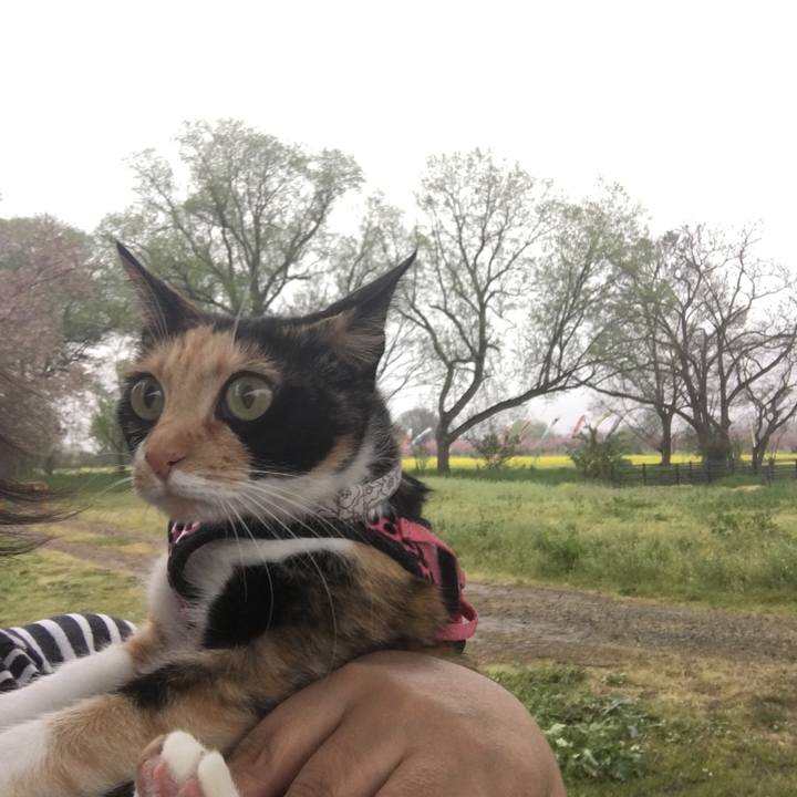 29df6b3e 9c1f 4780 aaad 43c6f6633217