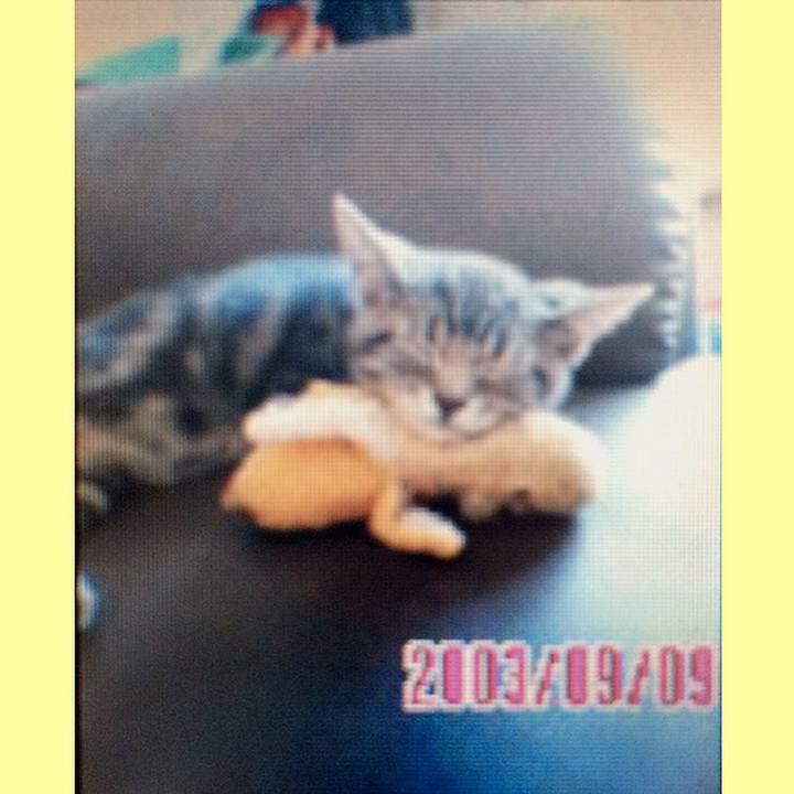 29df86f2 5b6b 49c6 8abc 4241dc7a92a0