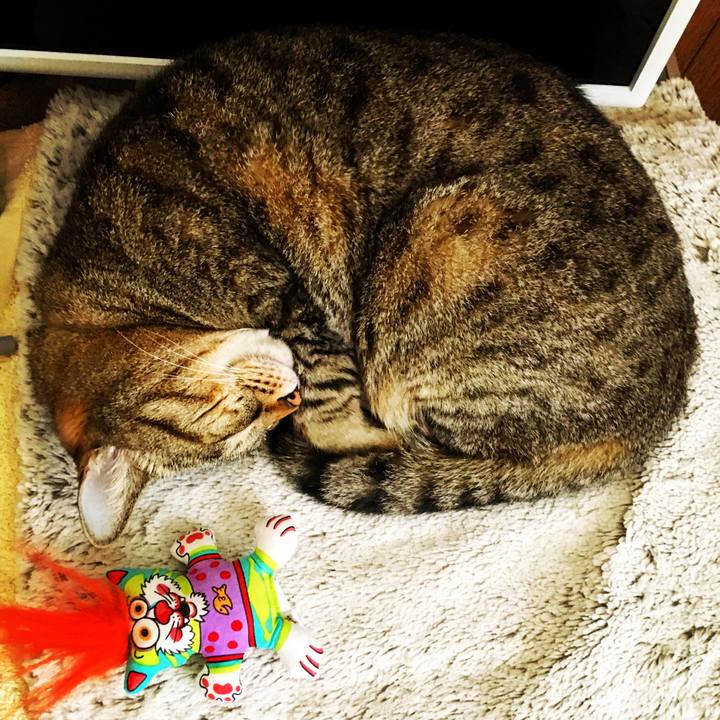 29dfcc1d 8069 427d b4e2 43f0d431d4d8