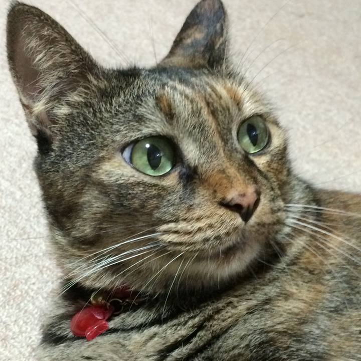 29e009ec ff85 4029 89fe 8d01c1f80081