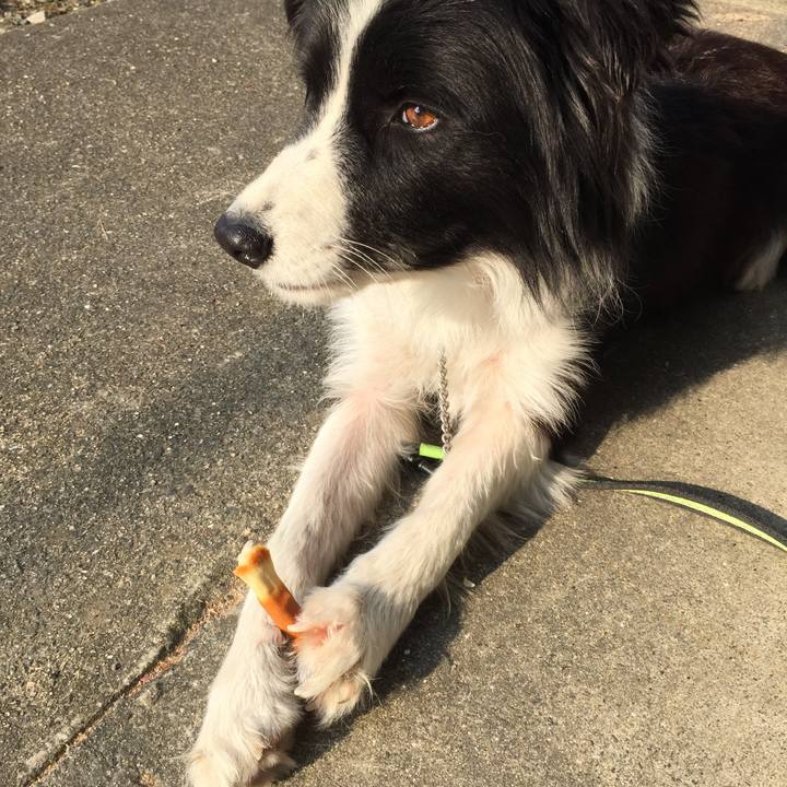 29e05fb5 6348 4b57 9b3c 8ac5c7f097e8