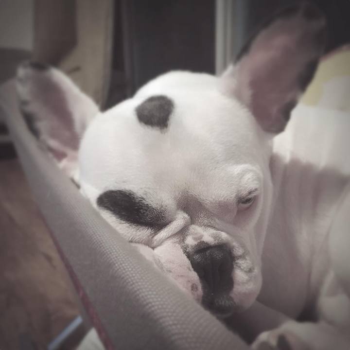 29e0cac8 01c6 417b 990b ac12c4d98788