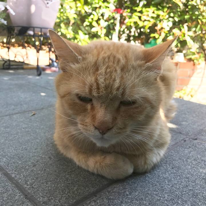 29e10953 4cc5 48ea 9669 50f1735a06be