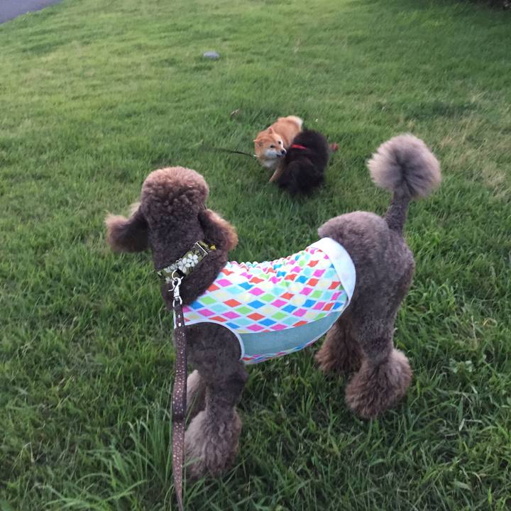 29e10b7d c80a 4d0f 9fc5 4614b3407c46