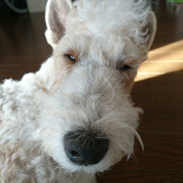 29e16878 6670 497a 928b 09100e65dcf2