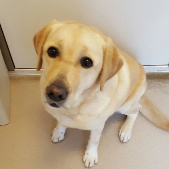 29e1d6f5 94c1 409b b293 a9e9c94c6658