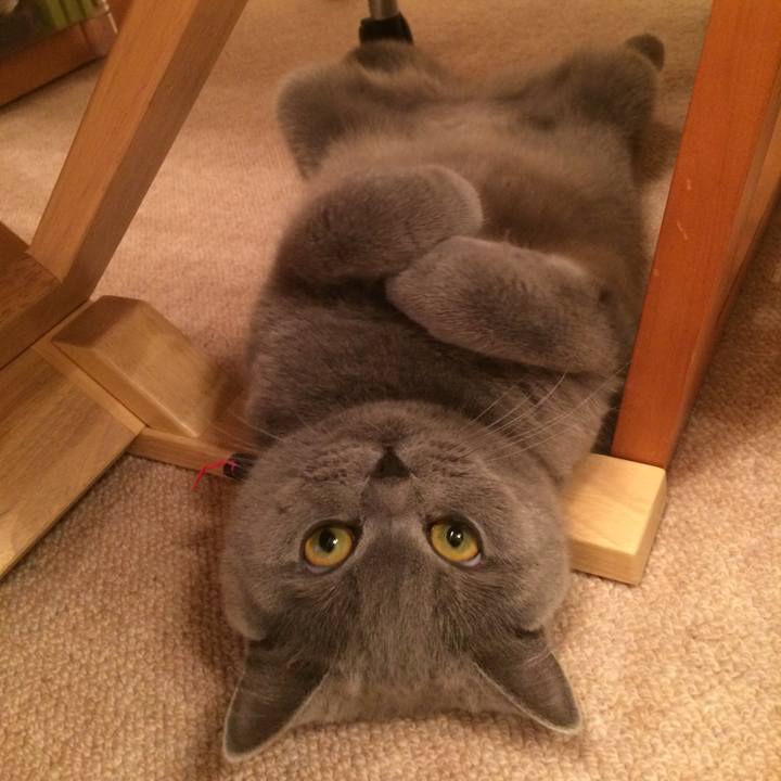 29e1fd7e ac95 4f7f bacb 3ca8aaab7aac