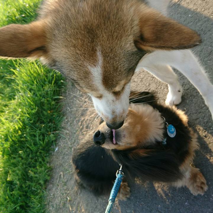 29e2ccfa 500c 4c2e b1dd 710afd8fae14