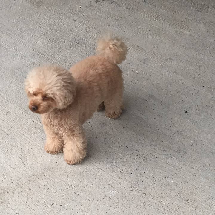 29e33aef ea93 4371 83a6 43987c25ac9b