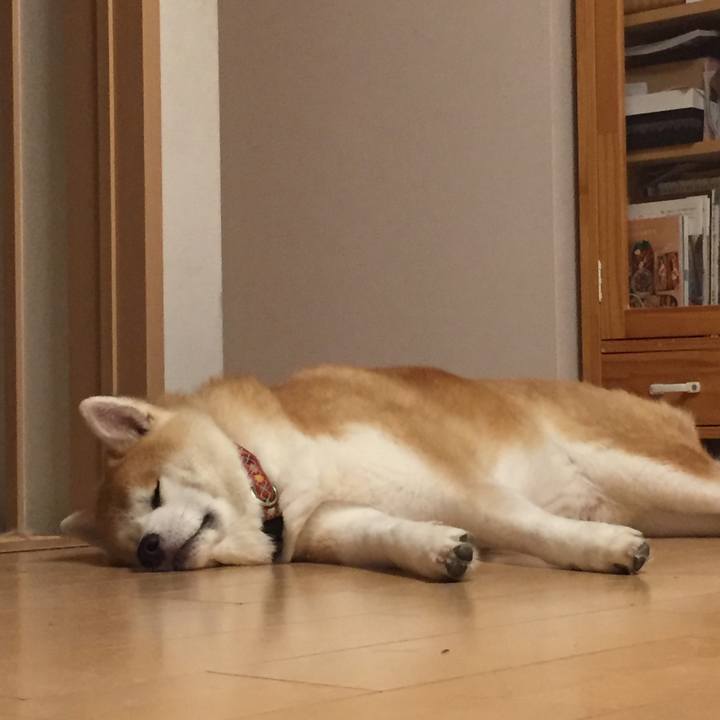 29e3a5f9 8b21 450a 893c 86c8a45d4927