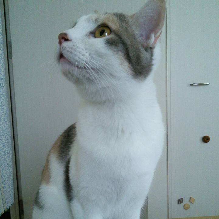 29e43f38 219a 4e93 af82 55be163c042d