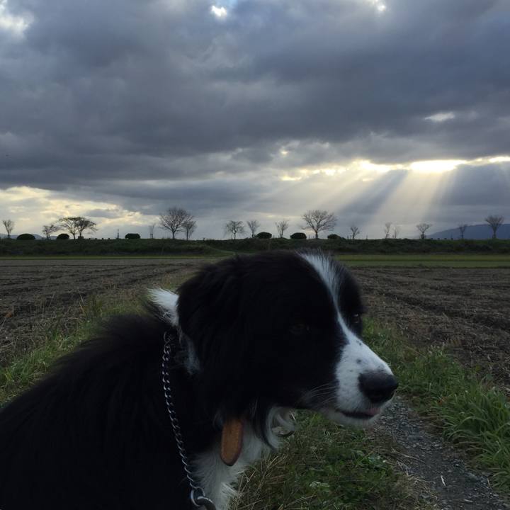 29e4b7eb 5e37 4bfd 84a3 f11463a99394