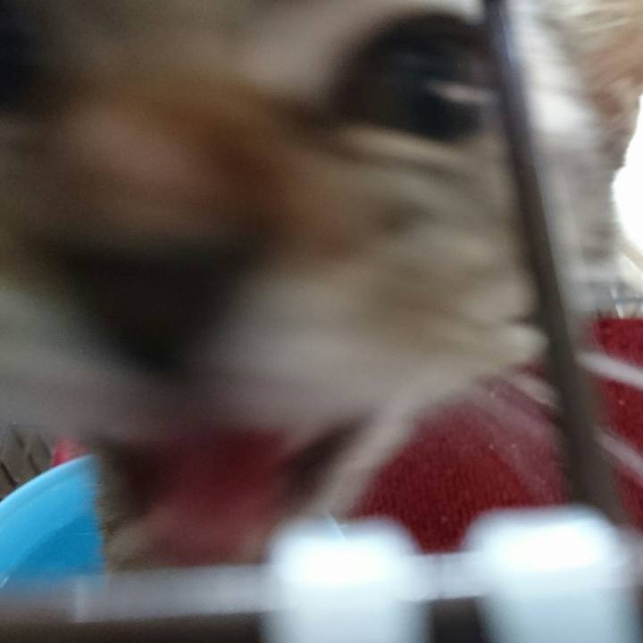 29e4fd65 9593 4f6f aded 0ddef8c32e1c