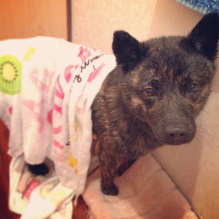 29e579a4 7b11 4e85 b205 9ad4806c74dc